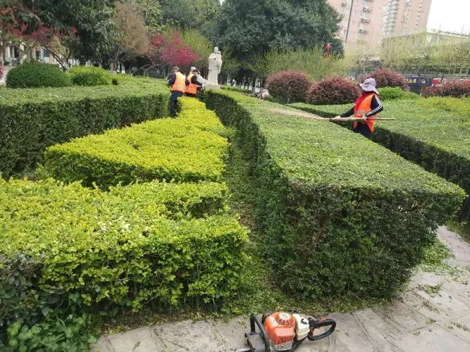 枝江城市绿化管理处