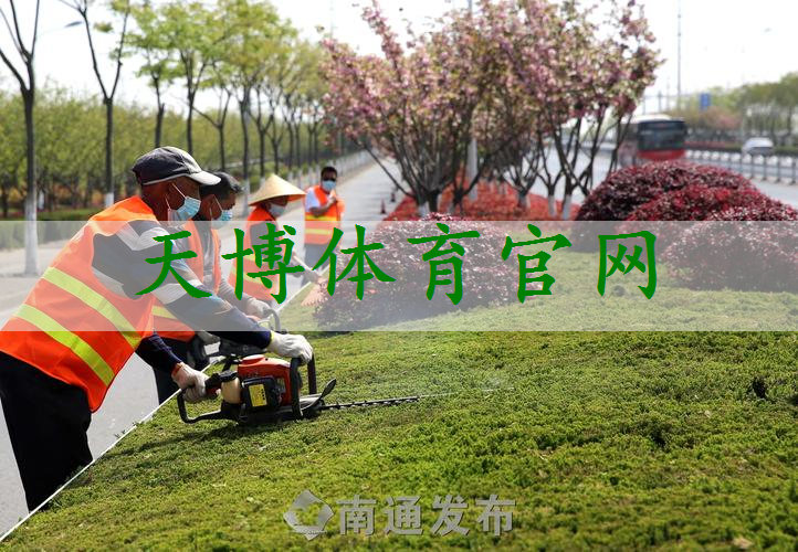 后所镇公路绿化工程